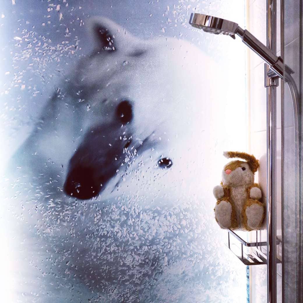 Polar bear bathroom Image of Arctic Light hotel bathroom