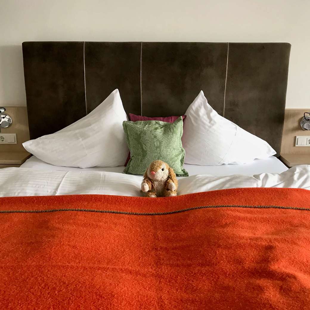 Mini See Suite Image of Bunny at hotel Traunsee
