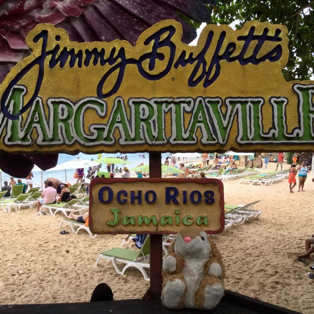 Ocho Rios Image of Bunny in a bar