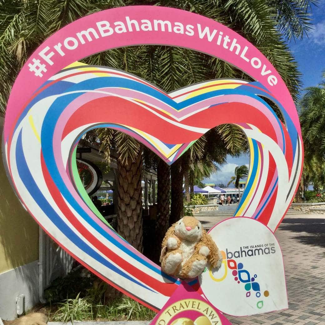 Bahamas Image of Bunny in the Bahamas