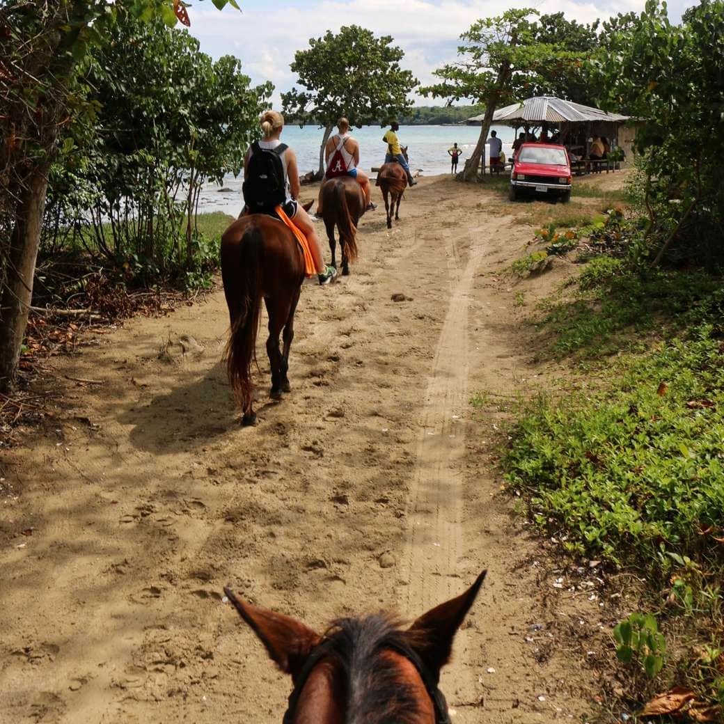 Horse-riding Image of horse-riding