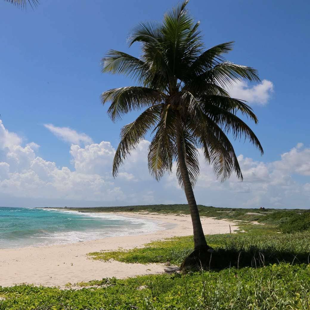 Cozumel Image of an empty beach