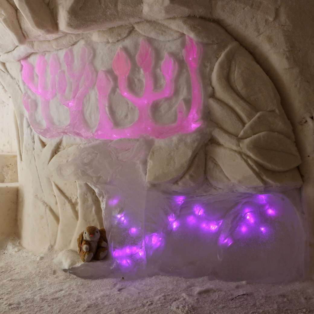 Snow hotel decoration Image of Arctic Snow hotel