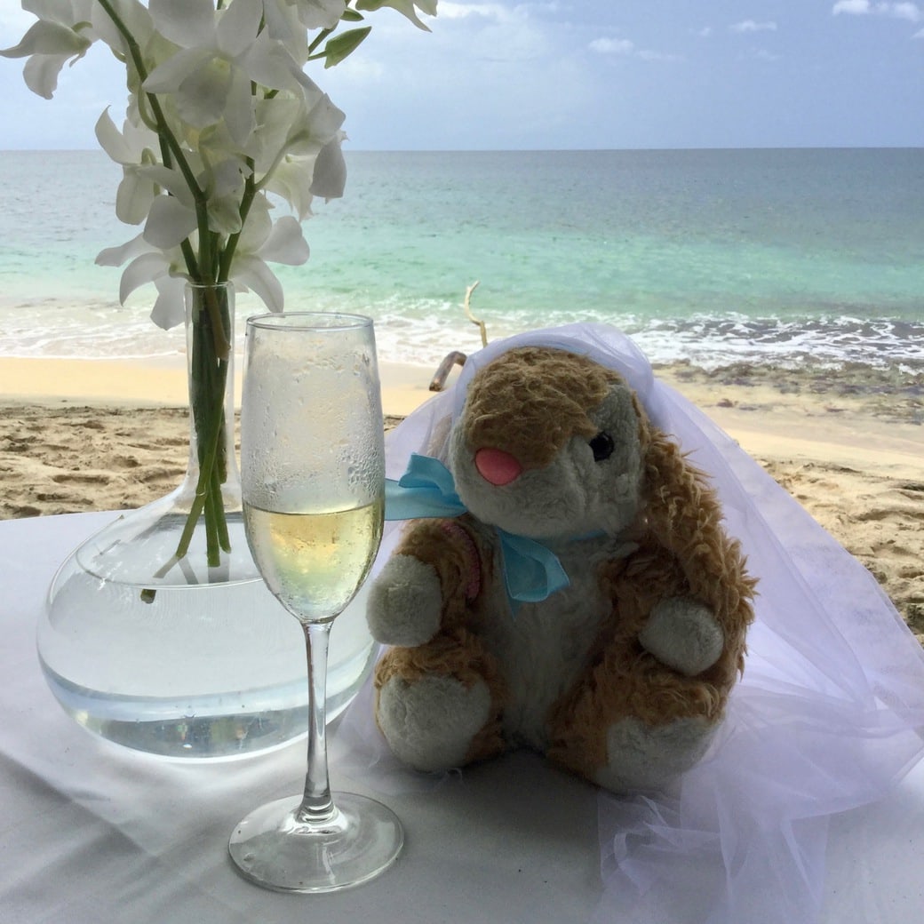 Wedding toast Image of Bunny on her wedding day