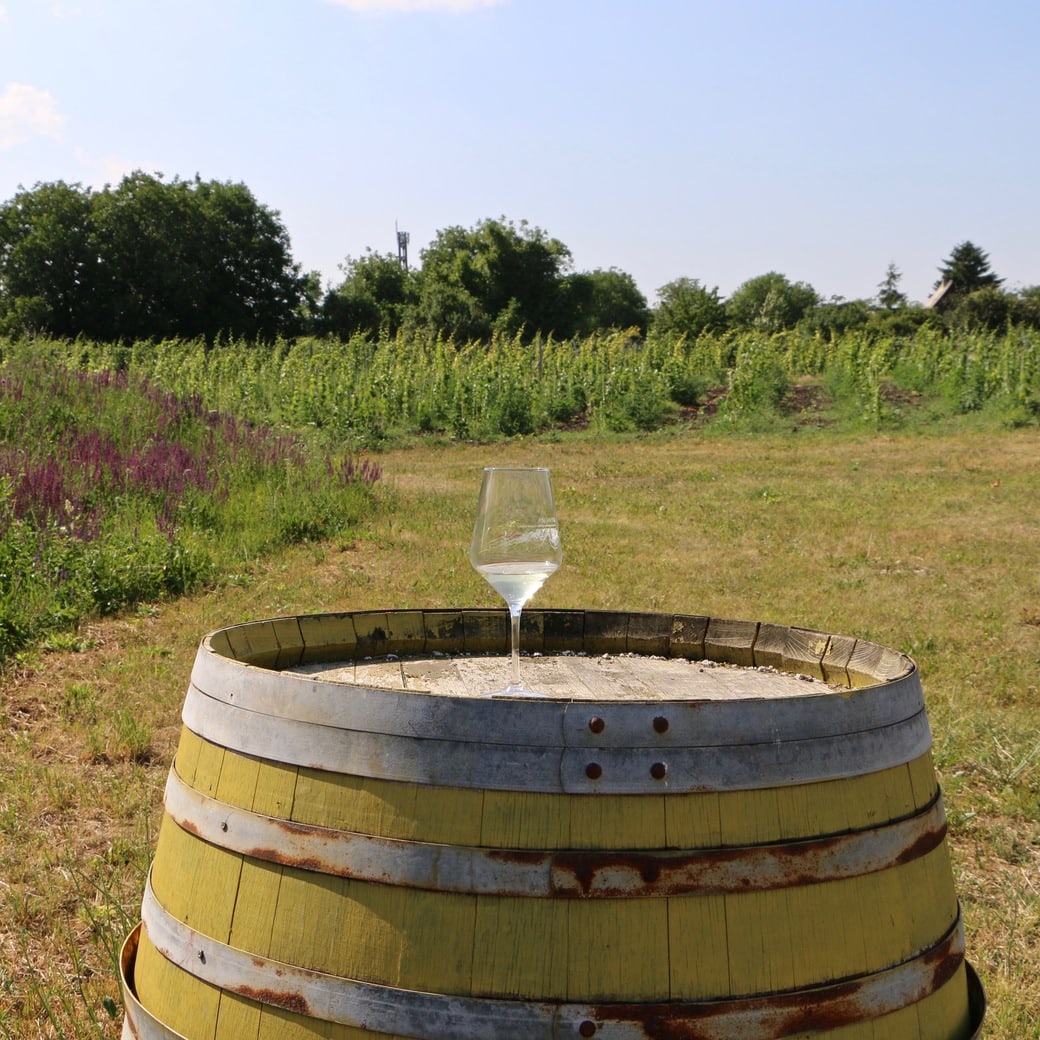 Wine barrel Image of a wine glass