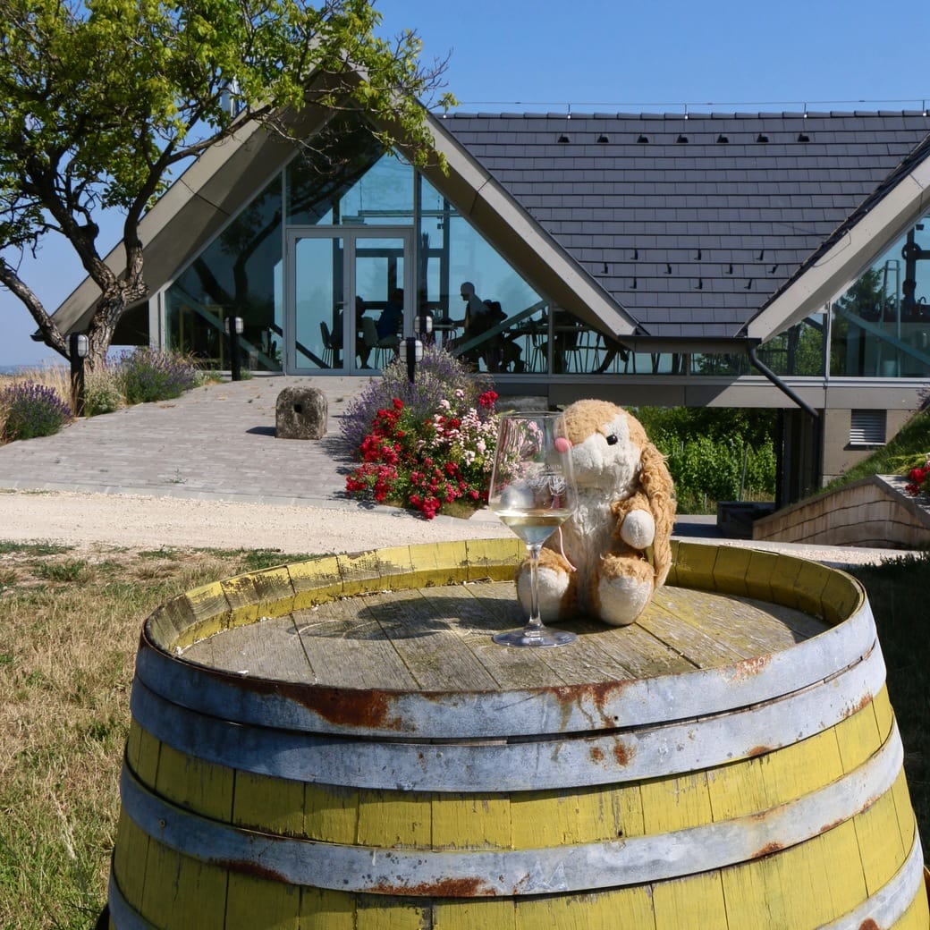 Wine-tasting Image of Bunny at Anonym winery