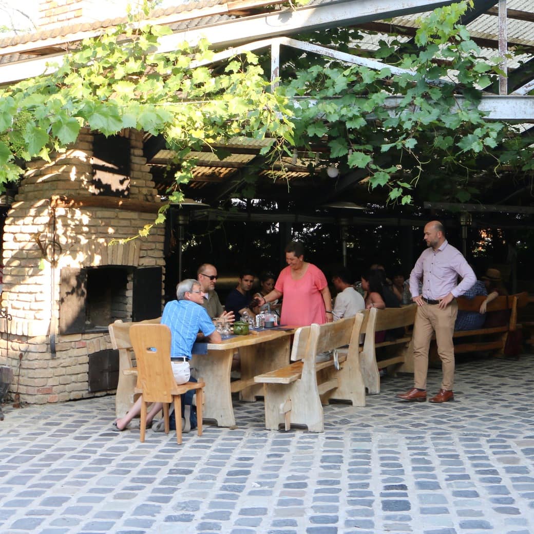 Dinner time Image of wine tasting