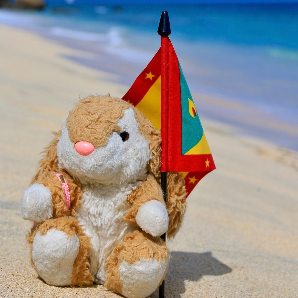 Grenada flag Image of Bunny with Grenadian flag