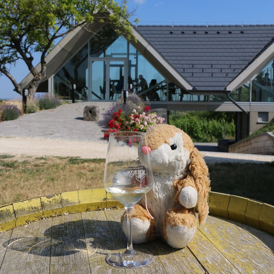 Anonym winery Image of Bunny at Anonym winery