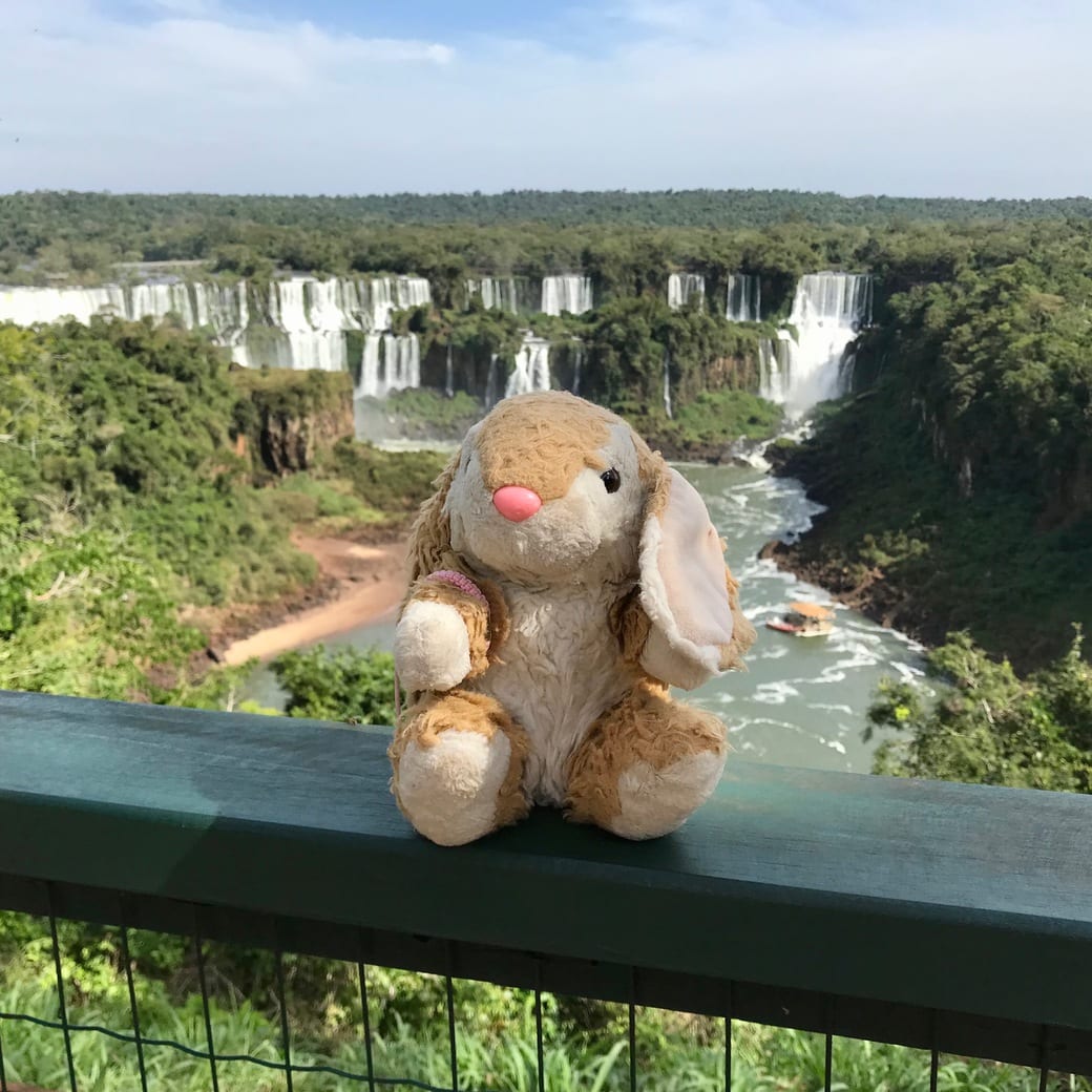 Bunny outside the Belmond Hotel, Brazil Image of Bunny at Iguazu Falls, Brazil