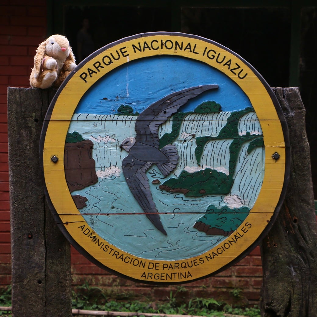 Bunny in Parque Nacional Iguazu Image of Bunny inside Parque Nacional Iguazu
