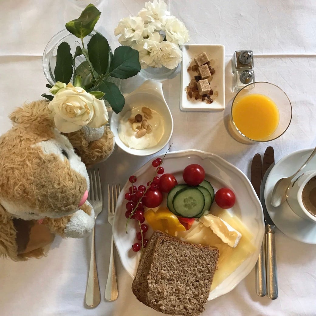 Bunny enjoying breakfast Image of Bunny at breakfast