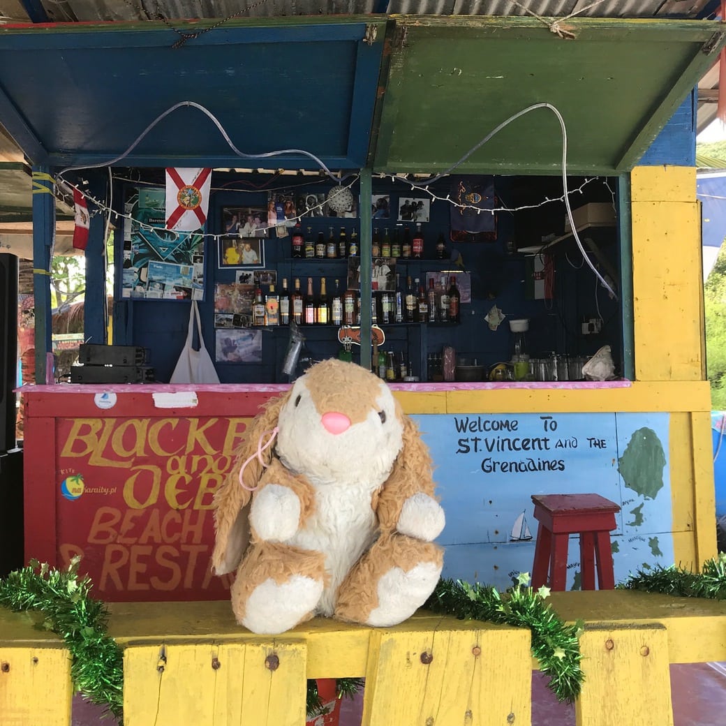 Beach bar Image of Bunny in a bar