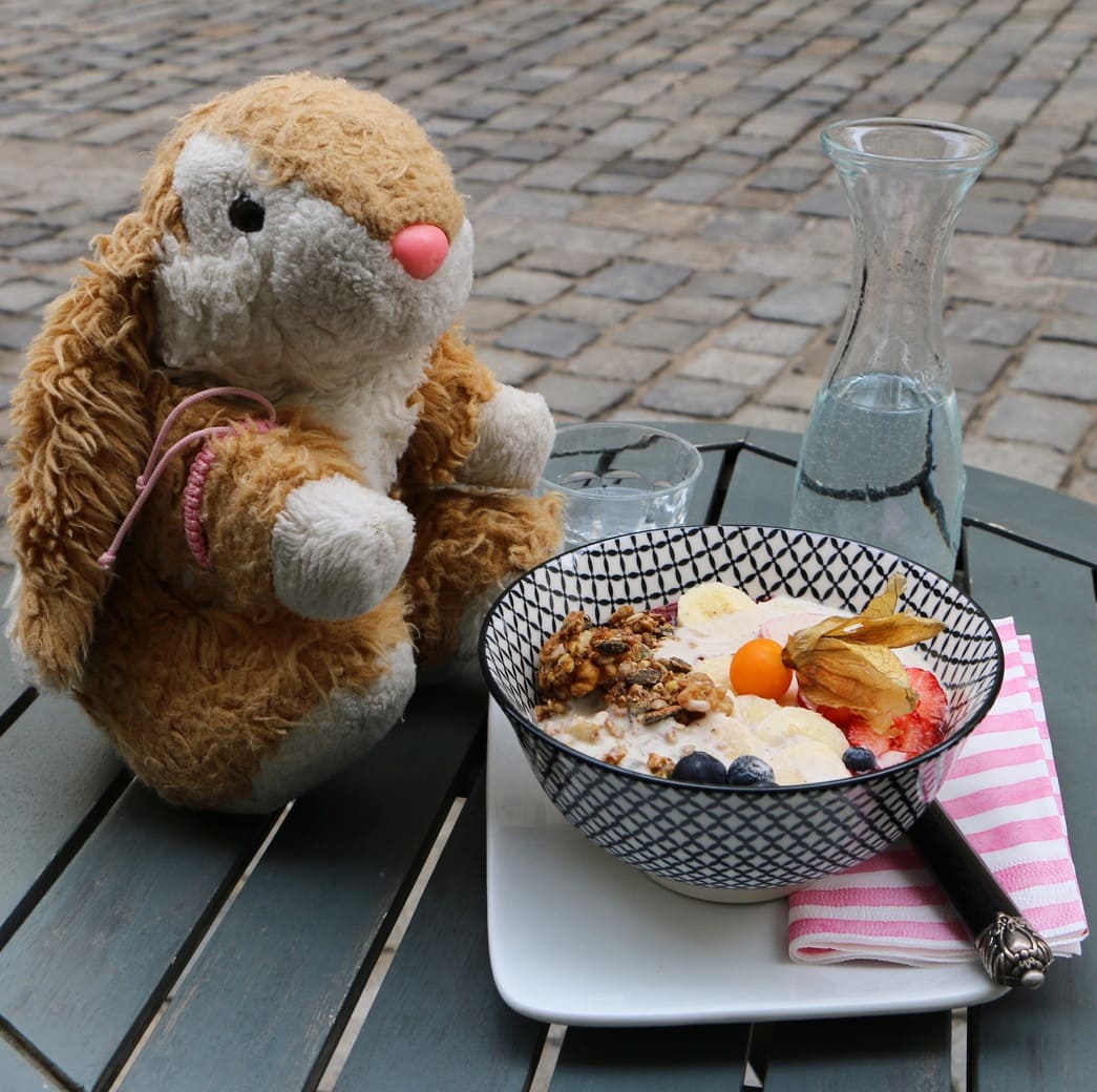 Breakfast bowl Image of Bunny eating breakfast bowl