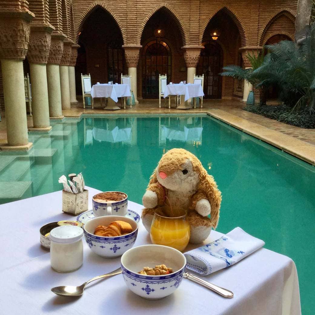 Breakfast by the pool Image of Bunny at breakfast