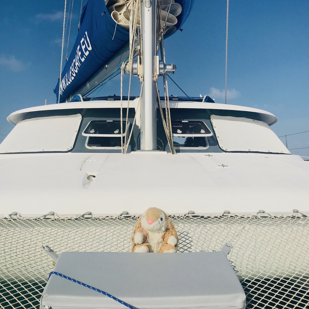 Bunny on Imagination Image of Bunny on catamaran