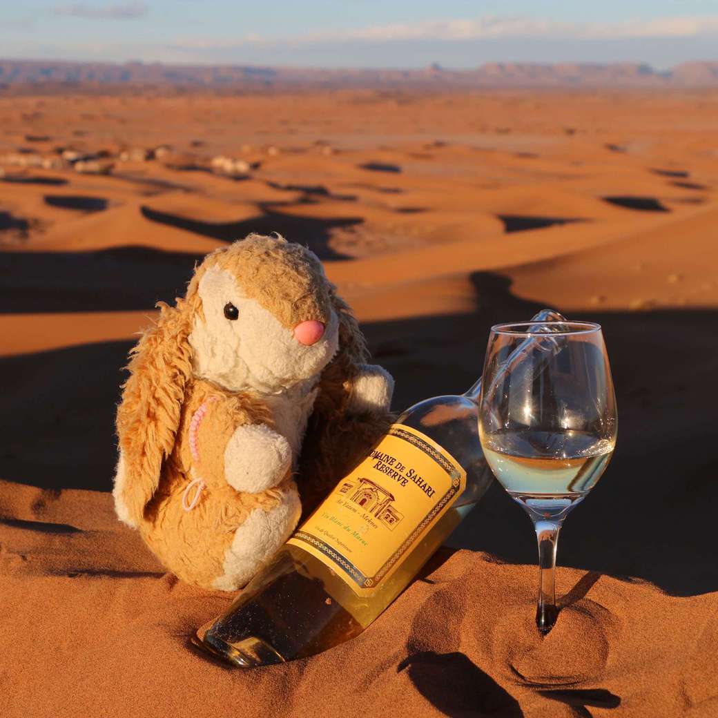 Chilled white wine Image of Bunny with wine