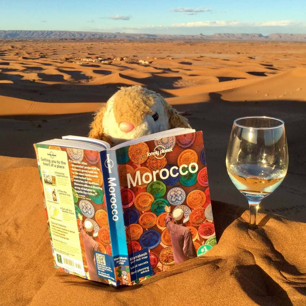 Desert moment Image of Bunny in the Sahara