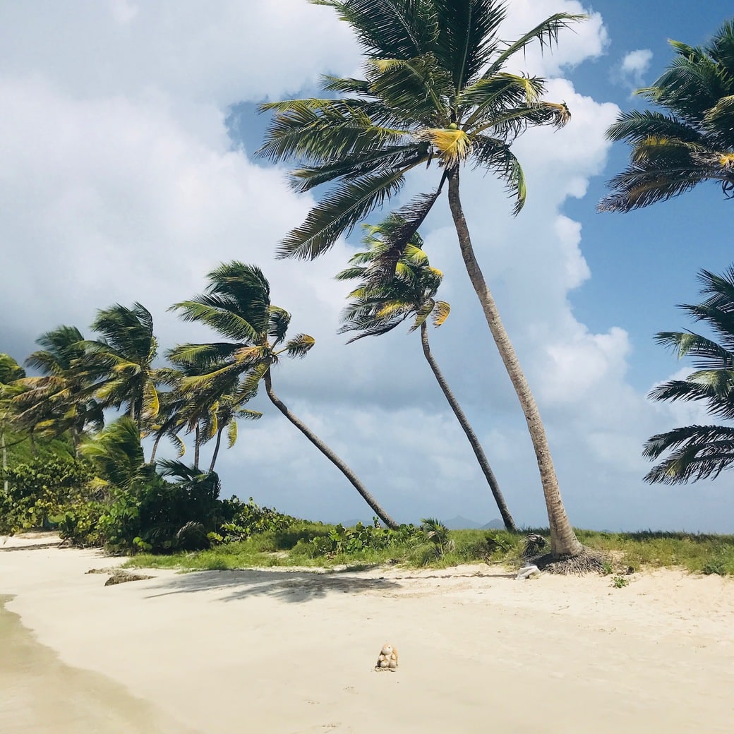 Mayreau Image of Mayreau