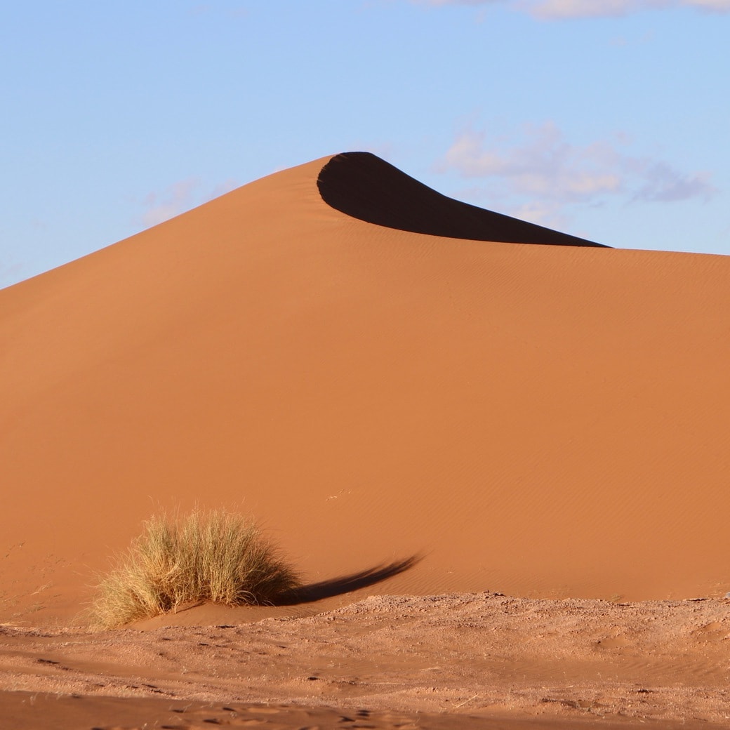 Sahara beauty Image of sand dune