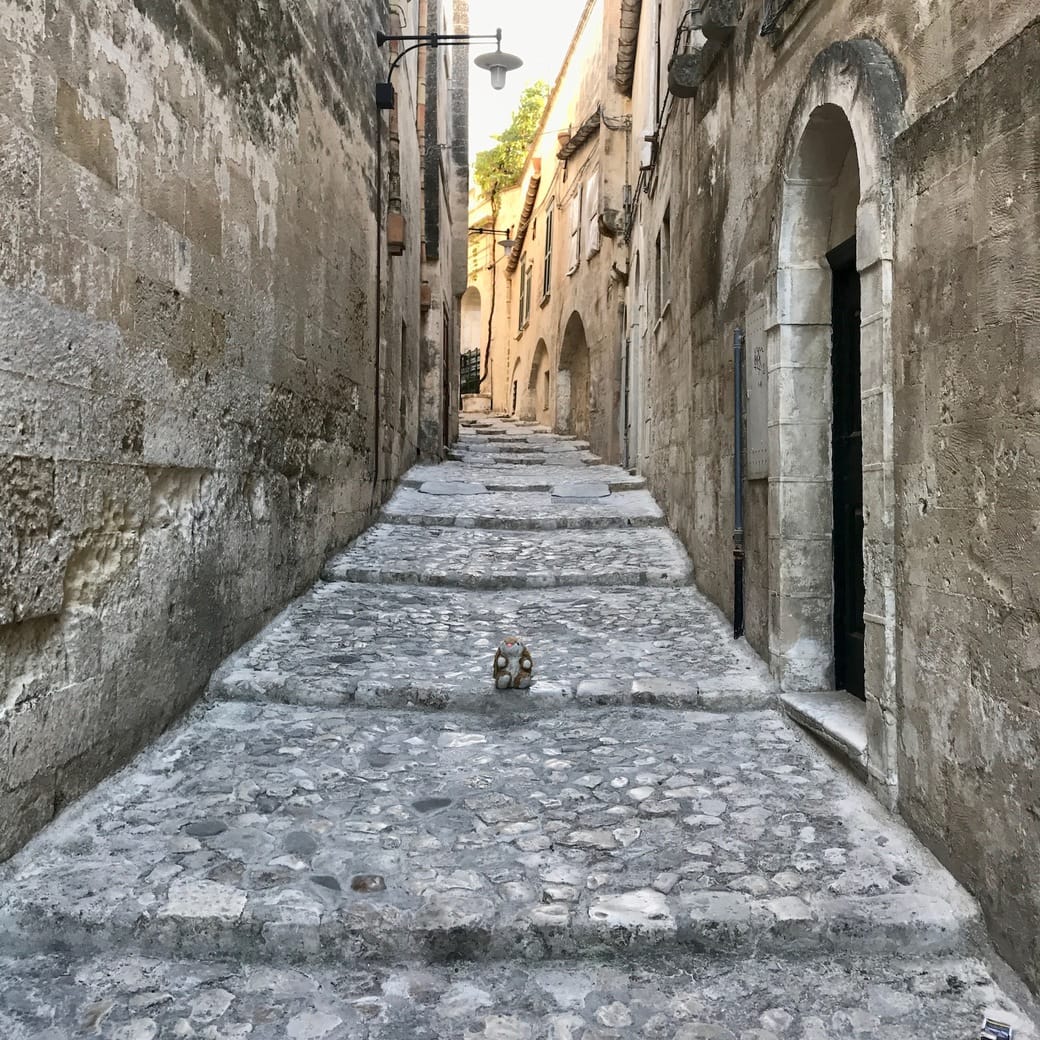 Bunny in Matera Image of Bunny in Matera