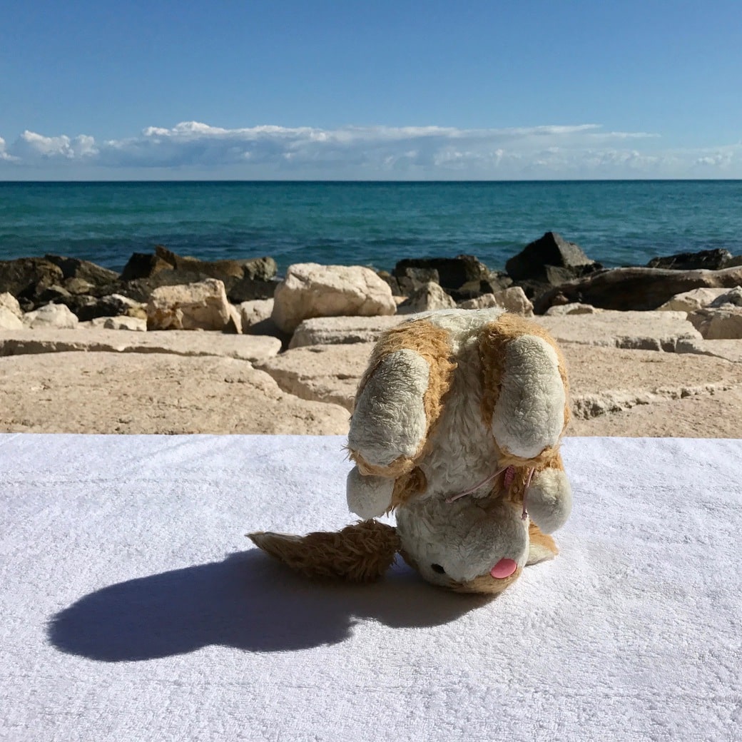 Bunny yoga Image of Bunny yoga