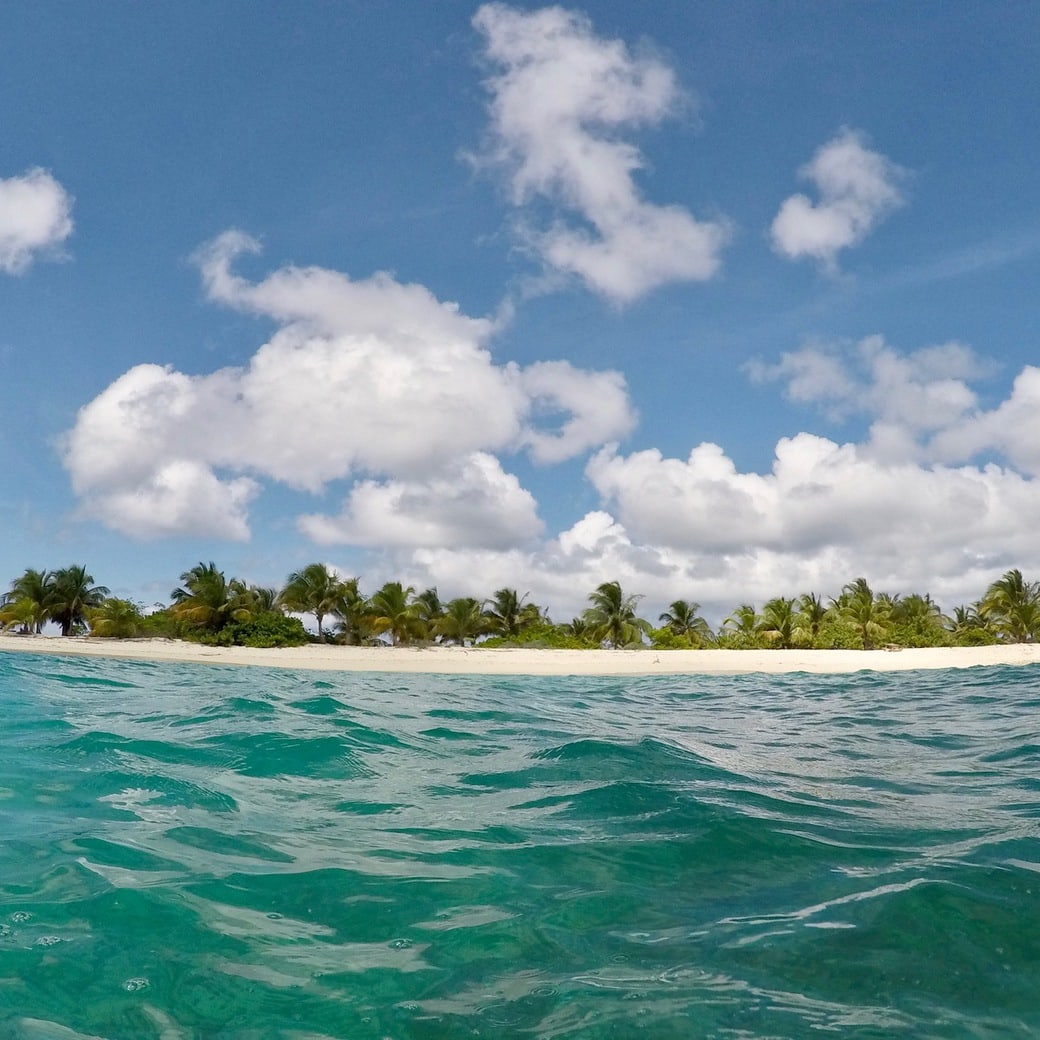 Snorkelling view Image of Sandy Island from snorkelling