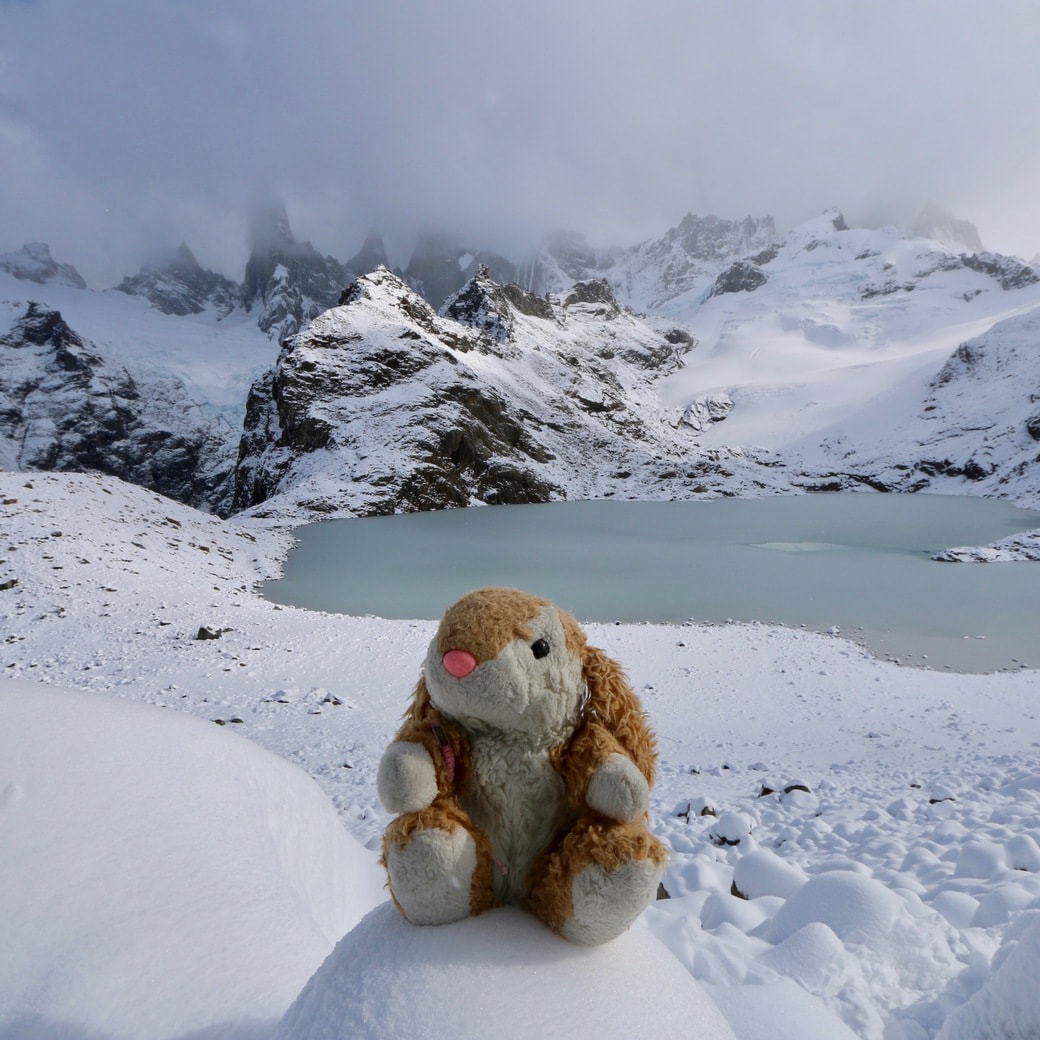 Bunny at Laguna de los Tres Image of Bunny at Laguna de los Tres