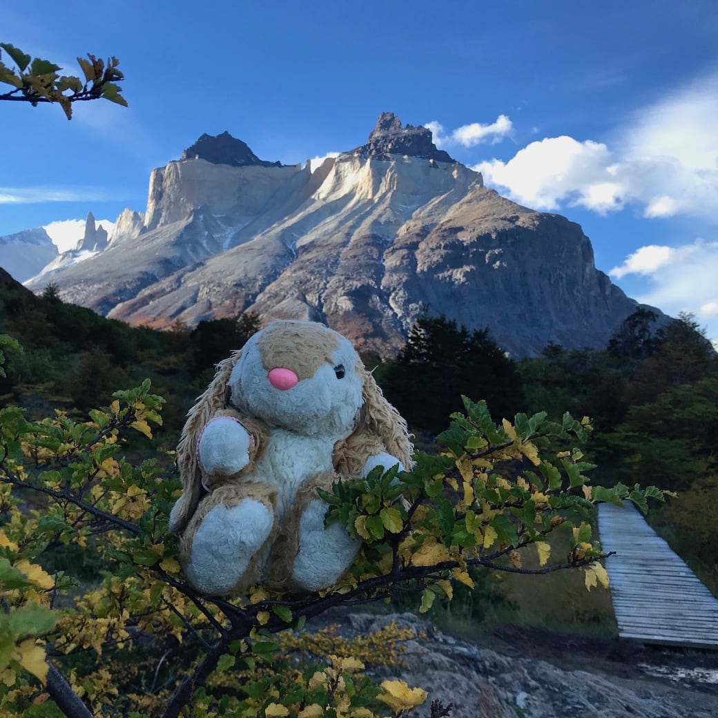 Cuernos del Paine Image of Bunny and Cuernos mountains