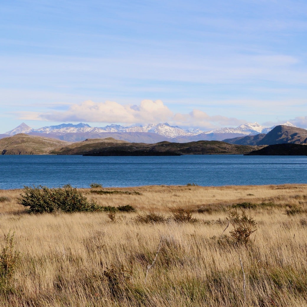 Lake Pehoe view Image of Lake Pehoe