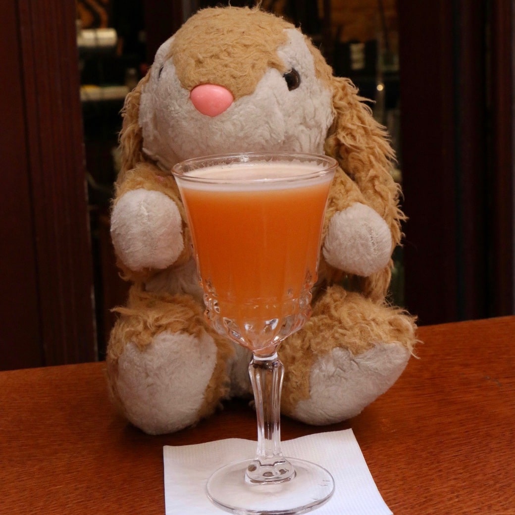 Bunny the party animal Image of Bunny with cocktail