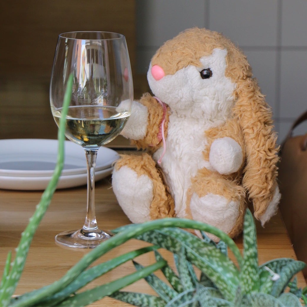 White wine Image of Bunny with white wine