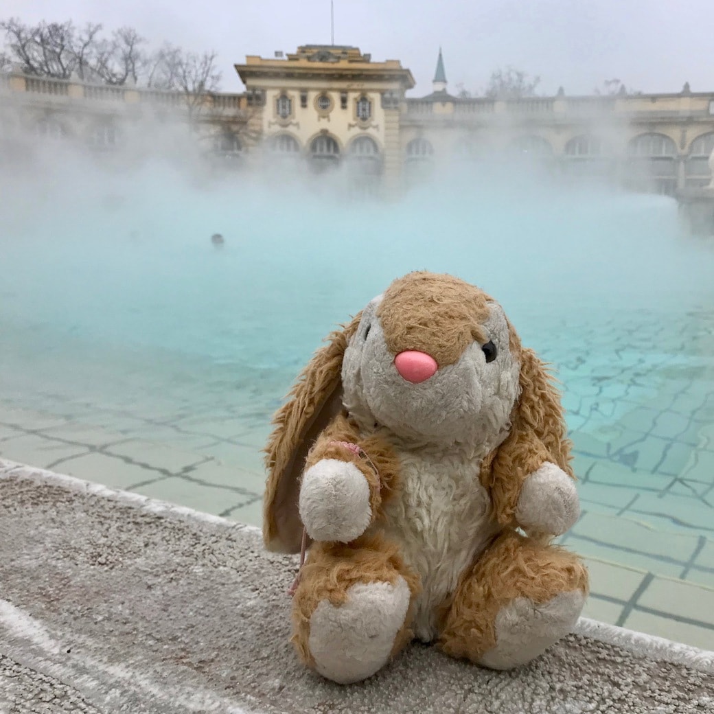 Bath Bunny Image of Bunny at thermal baths