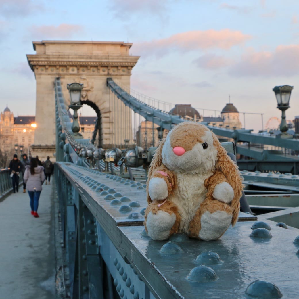 Bunny at Chain Bridge Image of Chain Bridge