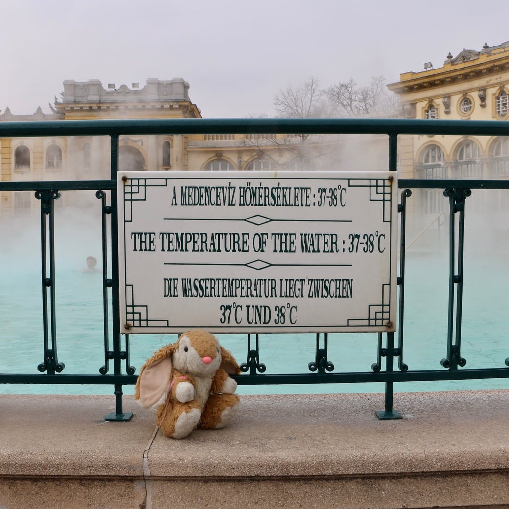 Thermal baths Image of Bunny at thermal baths
