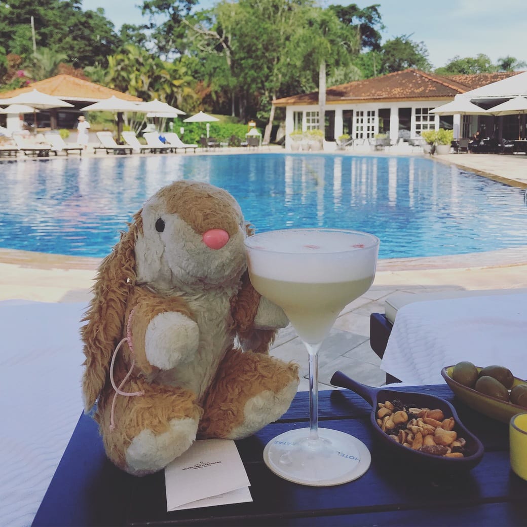 Belmont pool Image of Bunny at a pool
