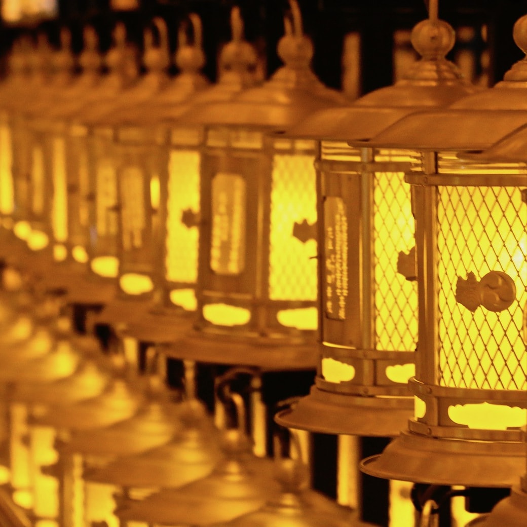 Golden lanterns Image of golden lanterns