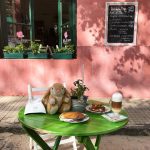 Image of Bunny at breakfast