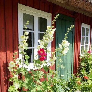 Image of Sweden