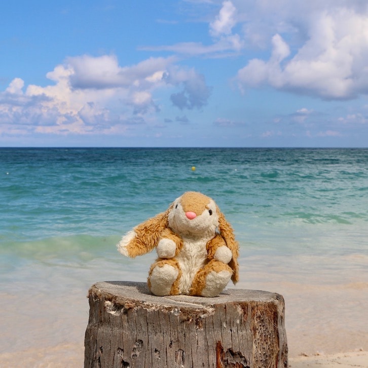 Bavaro Beach Bunny posing on Playa Bavaro