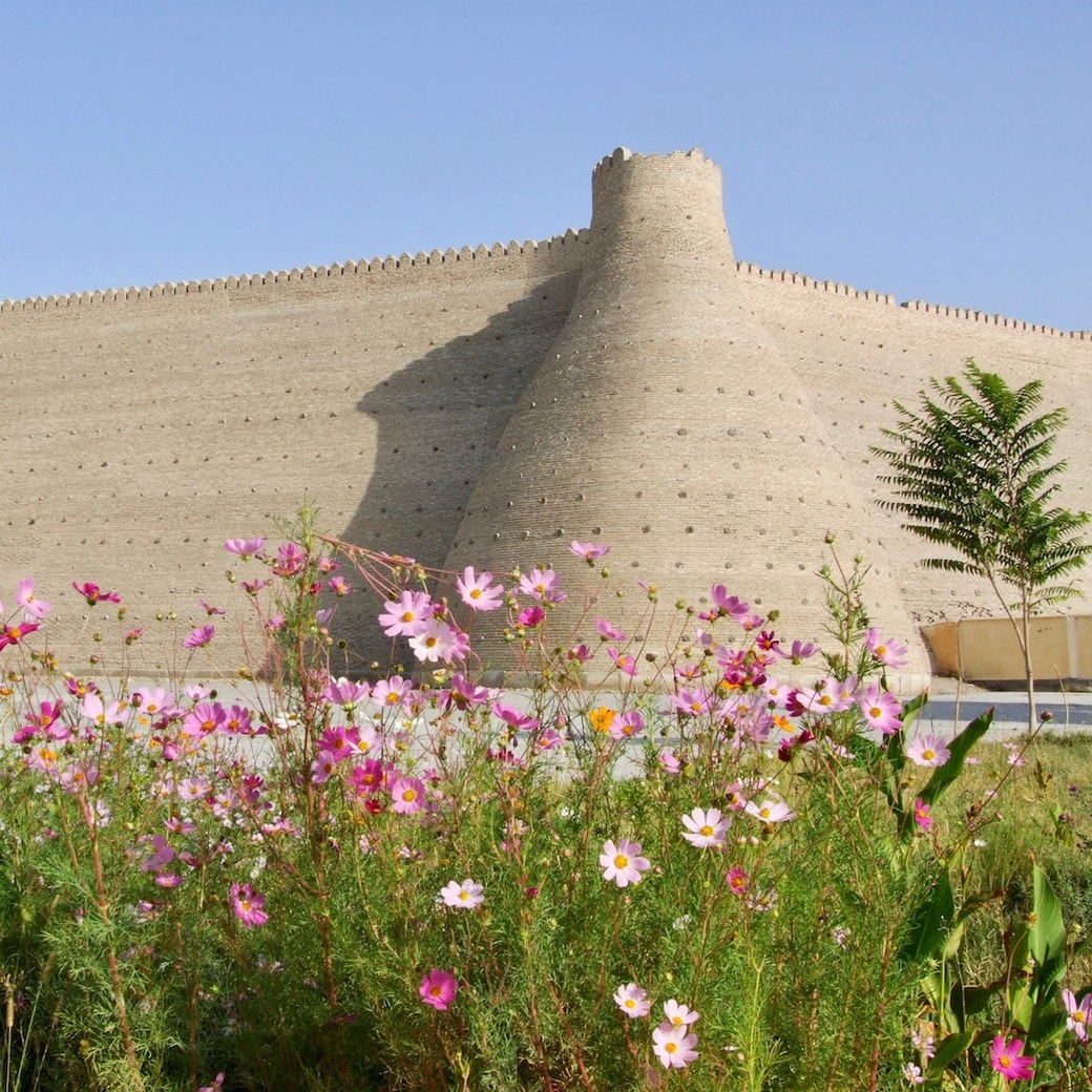 Bukhara Bukhara city walls, Uzbekistan