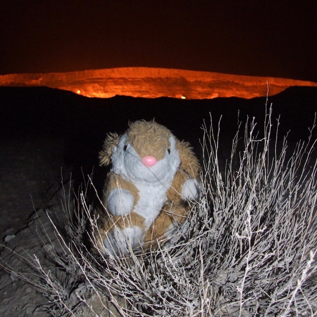 Bunny at Darwaza Bunny posing at the gas crater