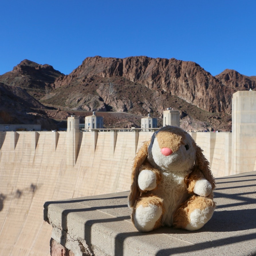 Bunny at the damn Bunny at Hoover Dam