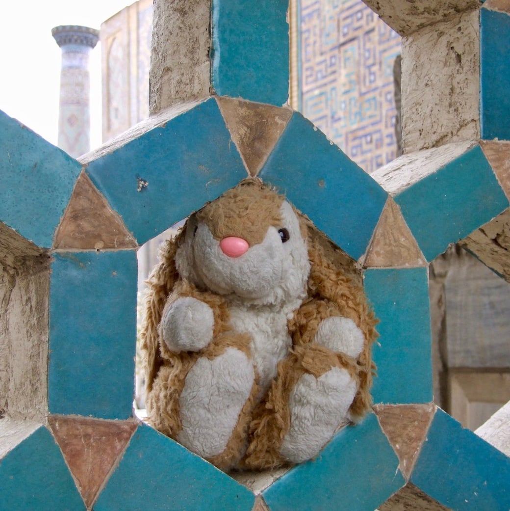 Bunny in Registan Bunny posing in Registan, Samarkand