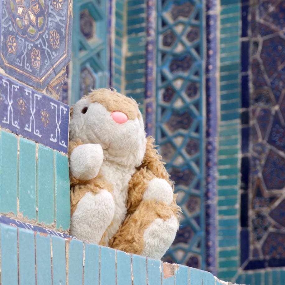 Bunny in Samarkand Bunny posing in Samarkand