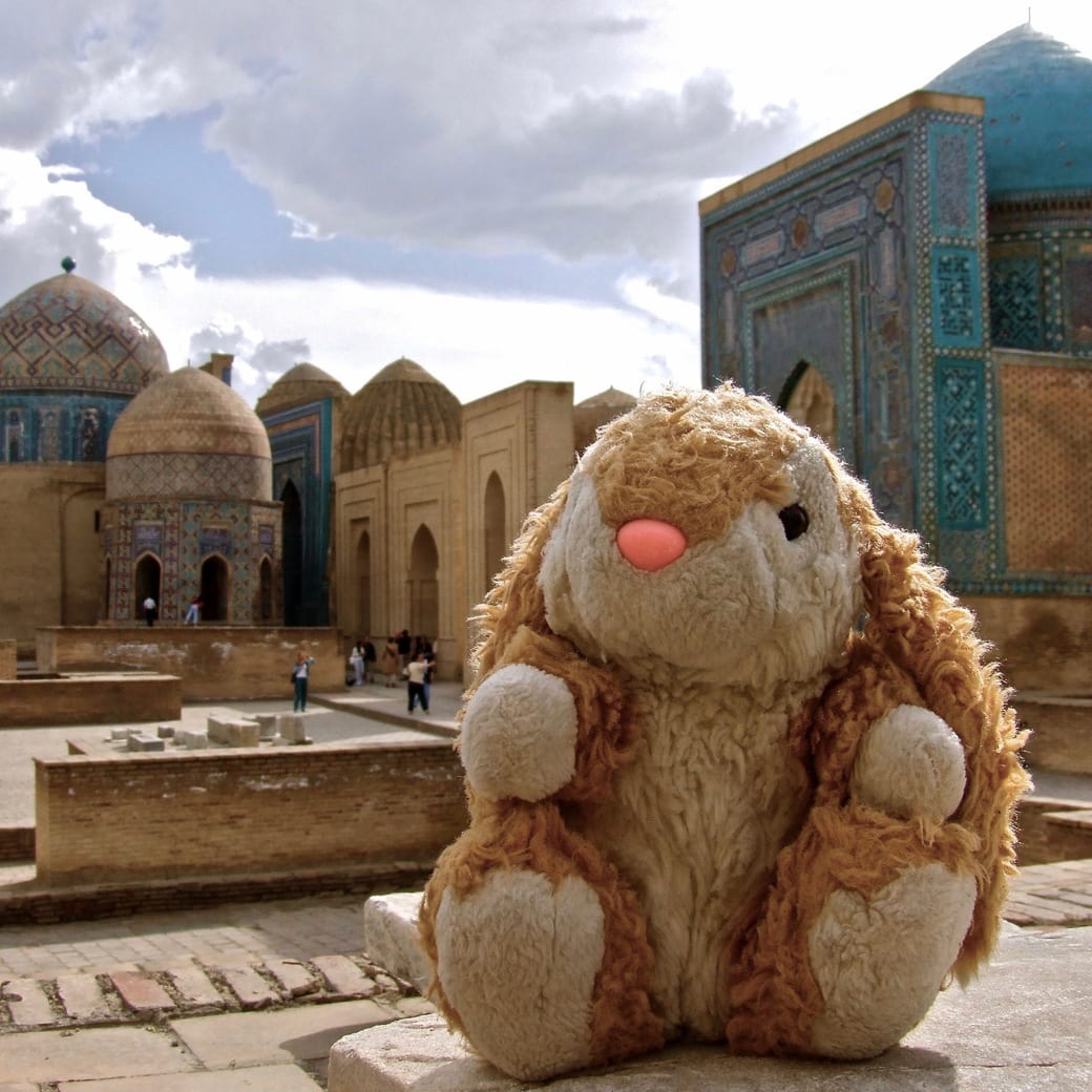 Bunny in Uzbekistan Bunny posing on the Silk Road