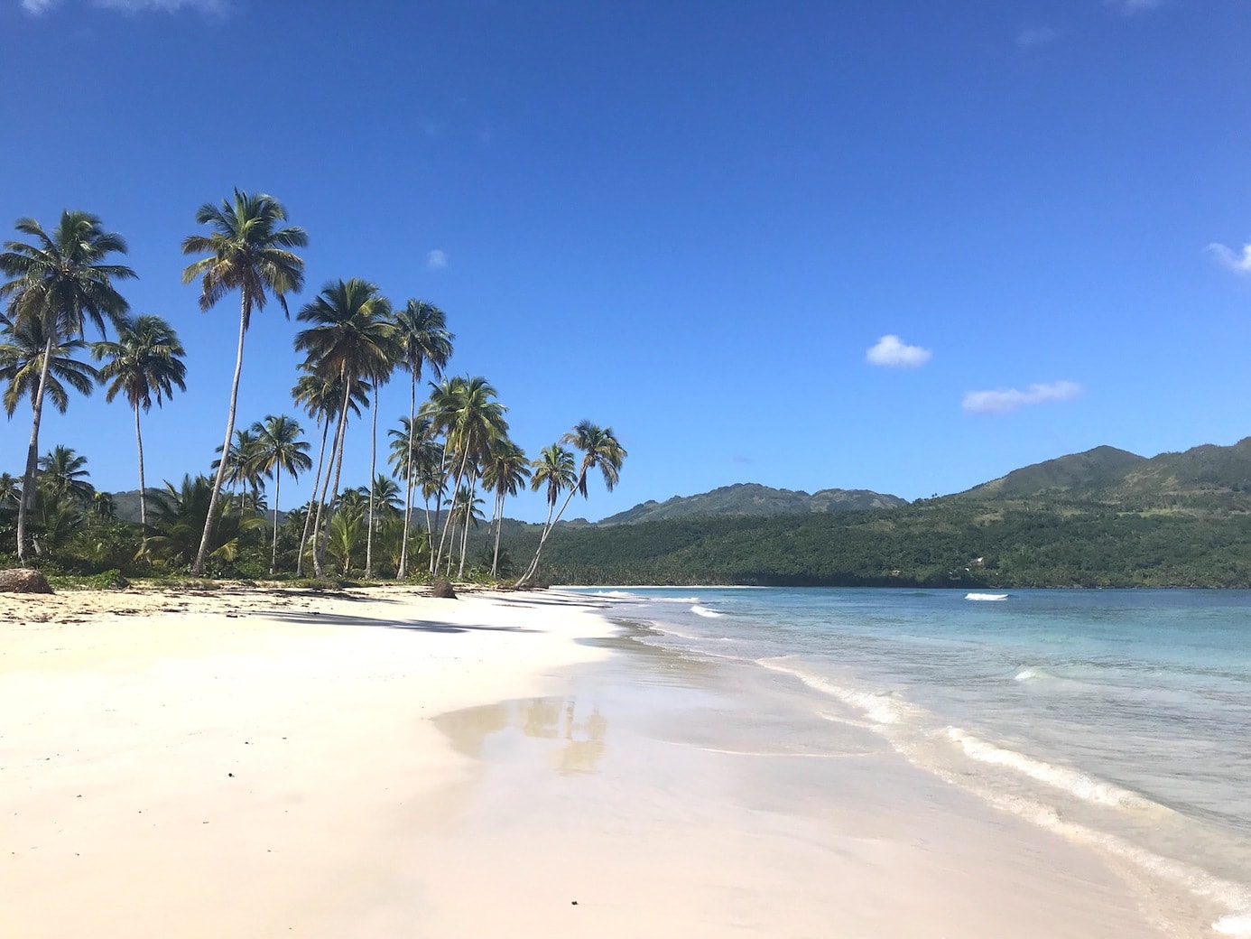 Bunny's favourite Best beach in Dominican Republic
