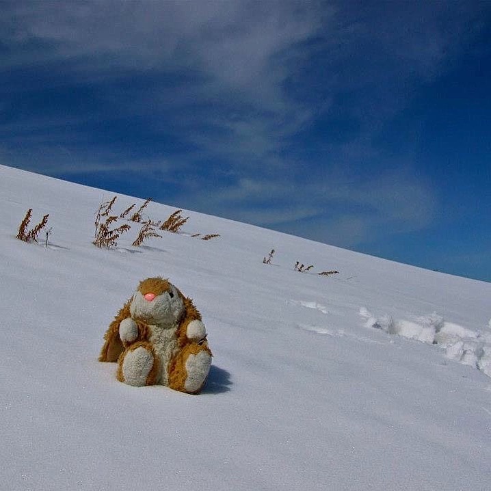 Hiking in Kyrgyzstan Bunny hiking in snow