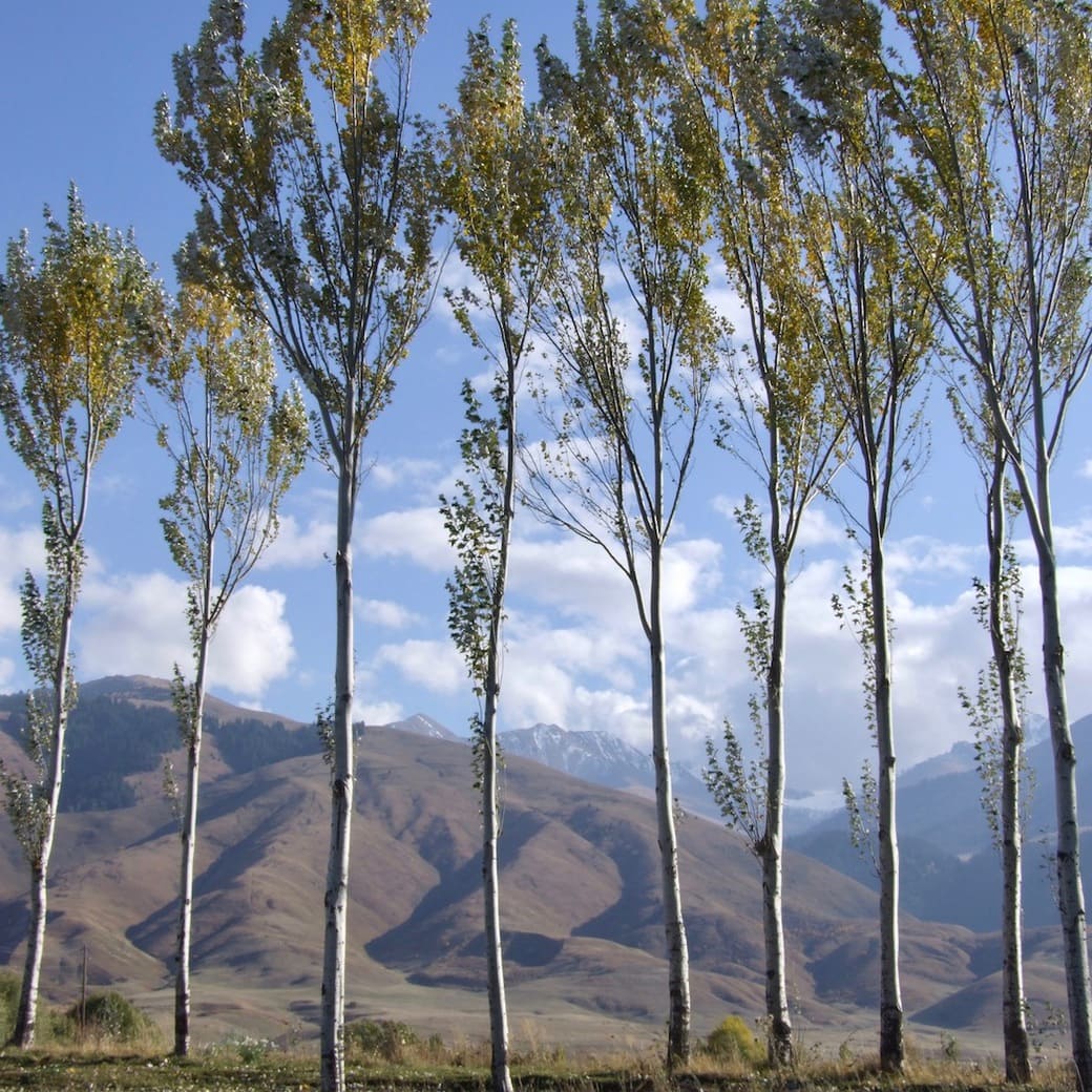 Kyrgyz scenery Kyrgyz mountains