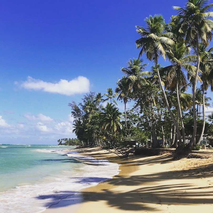 Playa Punta Popy Playa Punta Popy in Las Terrenas